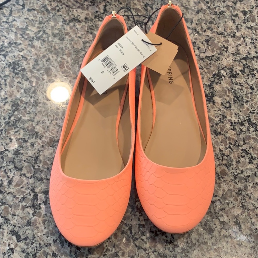 Coral Flats